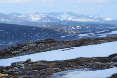 Kiirunan maisema Kiilopäällä. Vielä valkoinen lintu erottuu maisemasta.