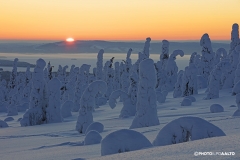 Auringonnousun aikaan