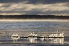 Jäätyvän Saimaan kelluvat hileet