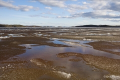 Jäiden lähtö Lietvedellä