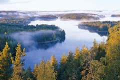 Anttolan Neitvuori syyssumussa