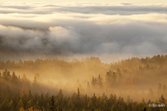 Sumu hälvenee Neitvuoren maisemissa