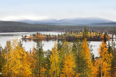 Särkijärven tunnettu maisema