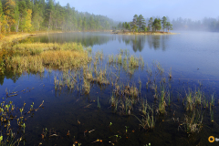 Aamu Ukonjärvellä