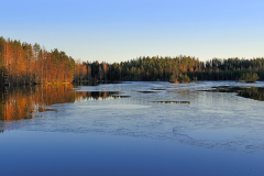Jäätyvä Saarijärvi