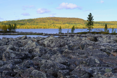 Jänisjärven kivistä rantaa
