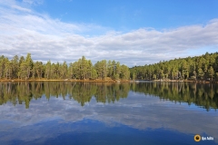 Tyyni Myössäjärvi