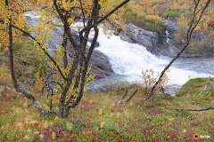Norjassa on komeita koskia