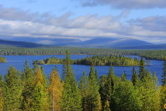 Pallaksen klassinen maisema