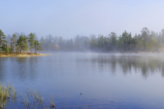 Sumu hälvenee