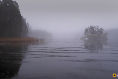 Sumuinen päivä Saimaan lahdella