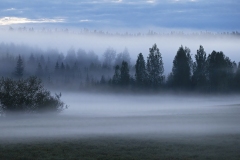 Sumuyö Puumalan tien varrella