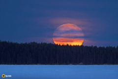 Täysikuu