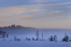 Talvipäivän sumua